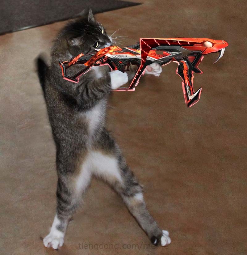 Ảnh Mèo cầm súng Mp40 Mãng Xà FF