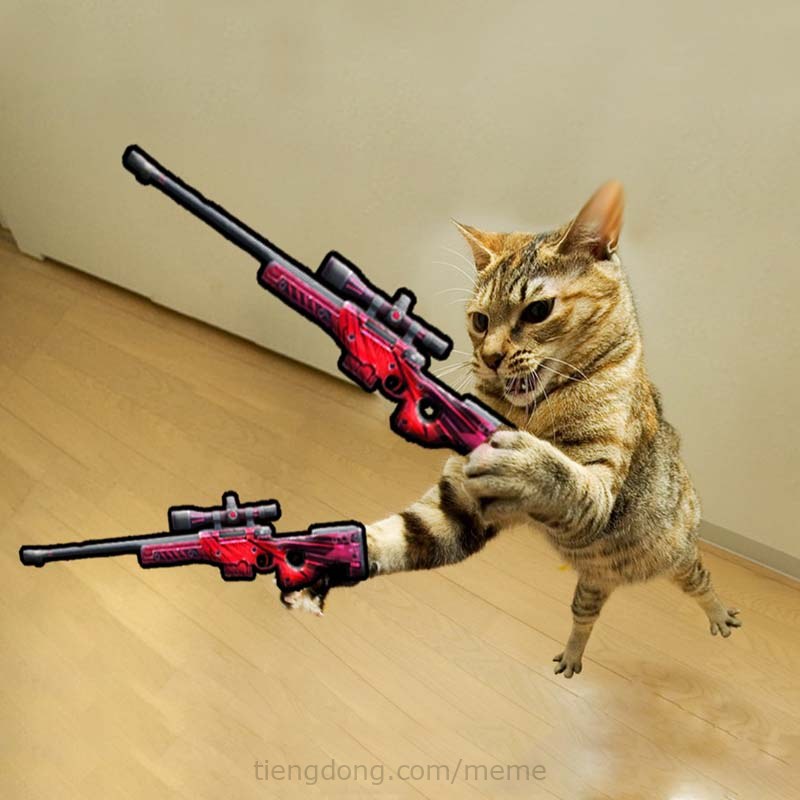 Hình ảnh Mèo cầm súng FF