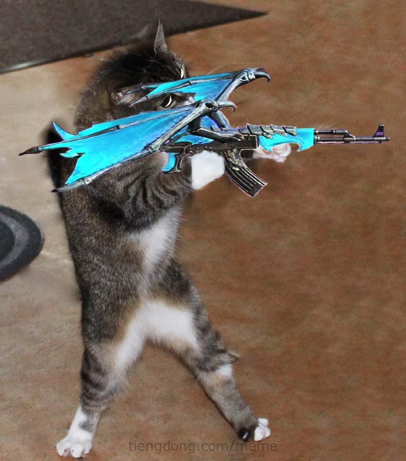 Tải meme con mèo cầm AK rồng xanh nhắm bắn